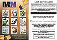 M&N Multiserviços Ltda