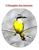 "Eu te vi, eu te vi - O resgate dos animais" (Devison Amorim do Nascimento)