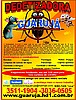 Carrapatos Ligue AGORA
